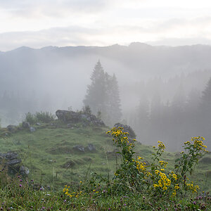 IMG8150 01