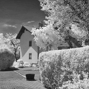 DSC00102 Bearbeitet