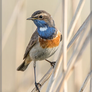 20160506 1460 [NIKON D500] 700 mm,1 1000 Sek. bei ƒ   6,3