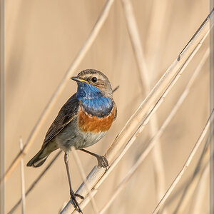 20160506 1495 [NIKON D500] 700 mm,1 1250 Sek. bei ƒ   6,3