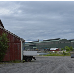 DSC 1553