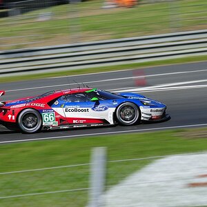Ford GT 66 LMGTE Pro
