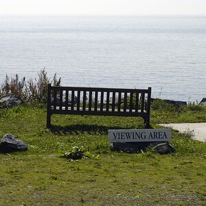 Viewing Area