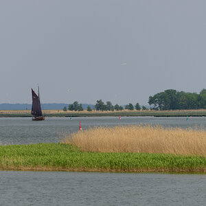 DSC 5297