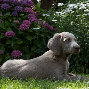 DSC0442 w