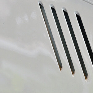Ratrebild01a [DSC_3398]