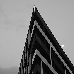 DSC 0204sw
