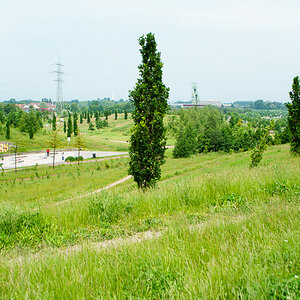 20160529 20160529 DSC03821