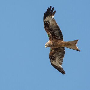 comp 20160629 DSC 4526