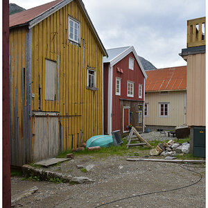 DSC 1545