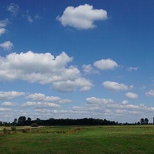 DSC0220