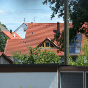 DSC 9317