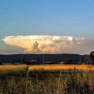 TZ 2016 06 26 20.29 2