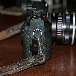 Kameragurt r DSC 1232