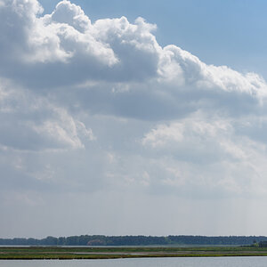 DSC 5354 02