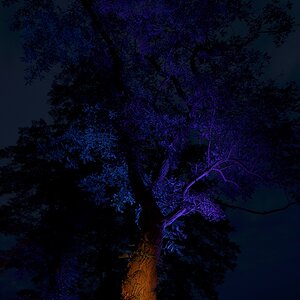 Illumina 2016