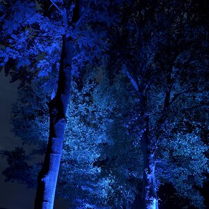 Illumina 2016