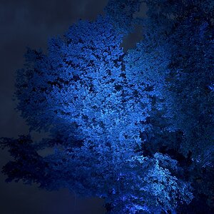 Illumina 2016