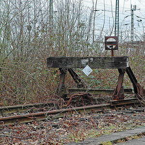 DSC 0048xl
