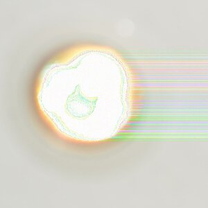 DSC 0005