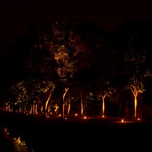 Illumina 2016