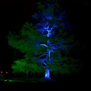 Illumina 2016