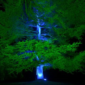 Illumina 2016