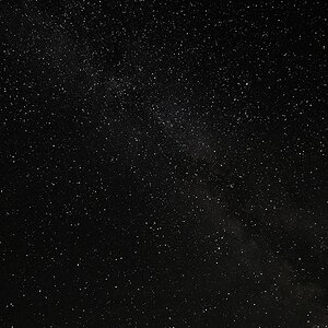 s160806 Göhrde 9226