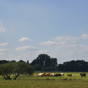 DSC0250 Bearbeitet w