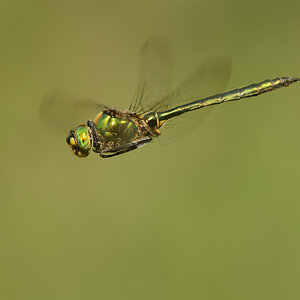 D8A 6863nx