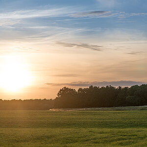 landscape raw acr