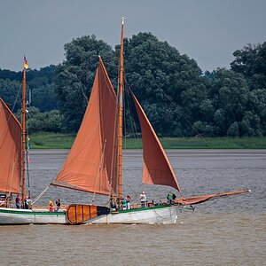 D75 6460 Besanewer II 7 2016