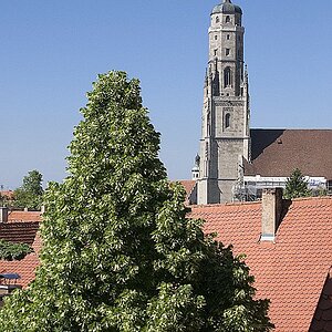 Rundgang Stadtmauer Nördlingen13