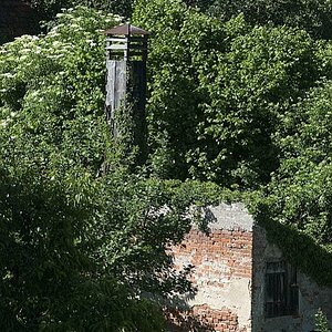 Rundgang Stadtmauer Nördlingen02