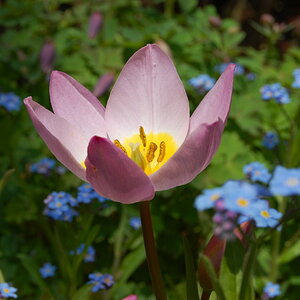 DSC 0765