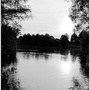 See
Fuji Acros 100, Emofin