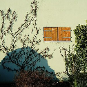 Schellenberg WandmitFenster