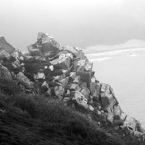 webFels 008SW