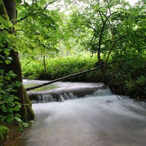 DSC 0061