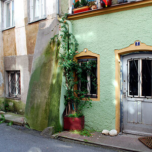 DSC 0005
