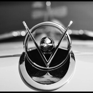 DSC 0054a1