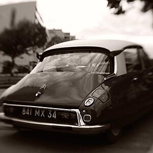 2009 05 21 24 Berlin D7C 0275