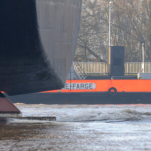 schiff 1