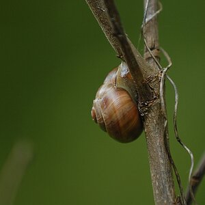 DSC8349