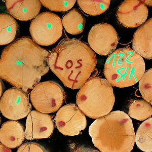 Holz