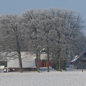 Winter in OWL