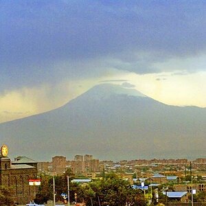 ararat