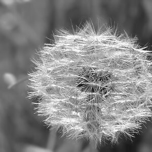 DSC 1228sw 900x701