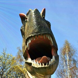 Dino