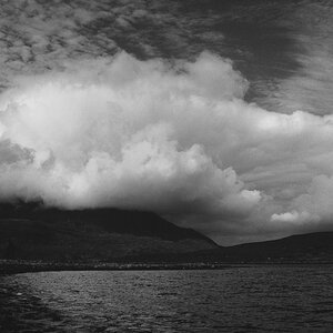 comp05 Schottland 1987 b006